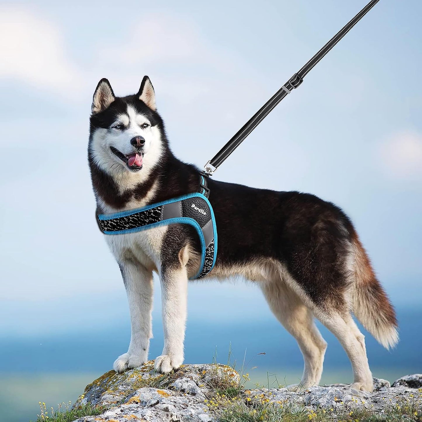 Dog Harness No Pull, Easy on and off Ultra Soft Breathable Padded Pet Vest Harness, Adjustable Reflective Top Paw Dog Harness for Small Medium Large Dogs (S Black