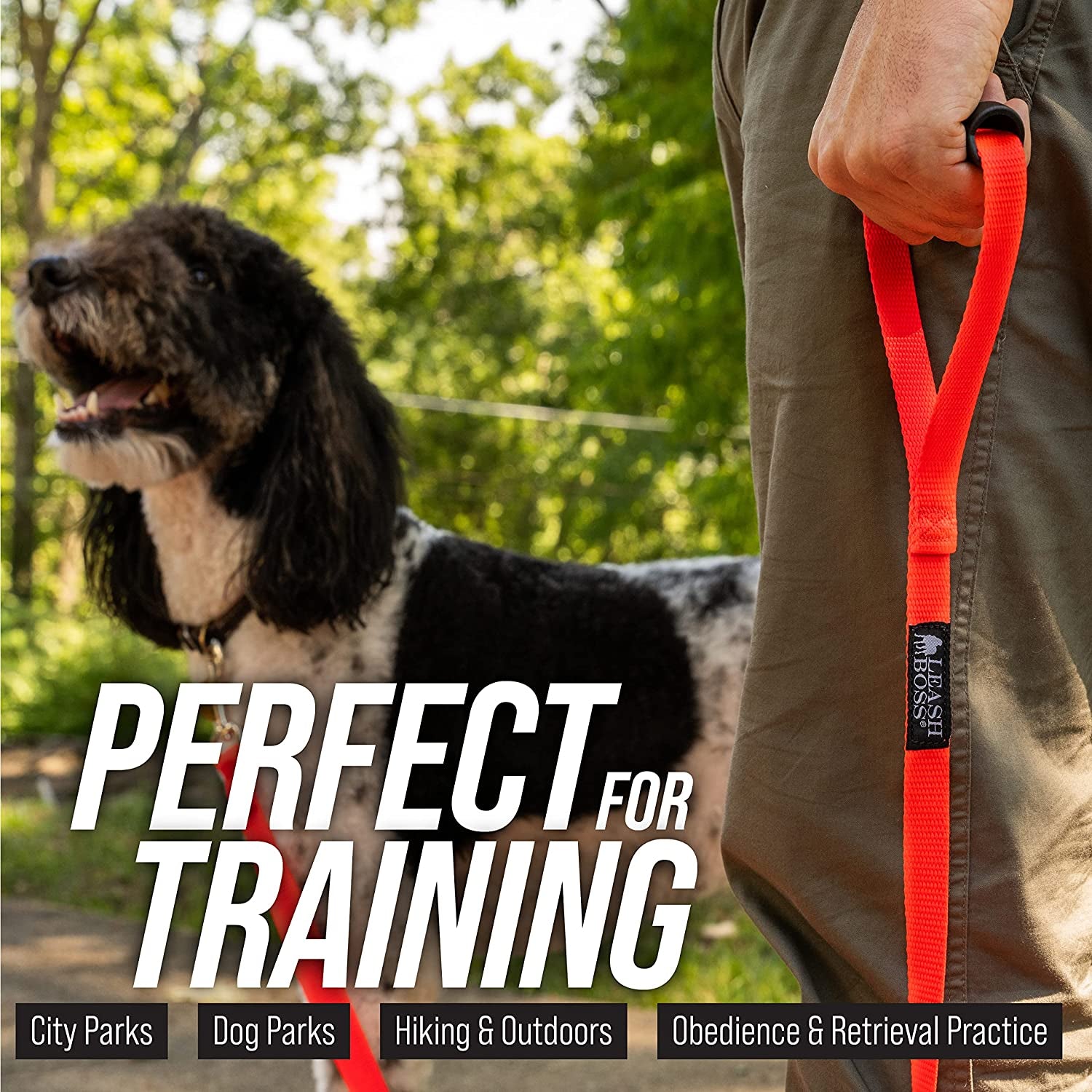 Free Range Long Dog Leash for Large Dogs with Drawstring Backpack - 1 Inch Nylon Training Lead with Padded Handle (Black, 30 Ft)