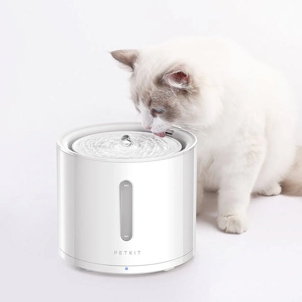 Eversweet Solo 2 Automatic Pet Water Fountain