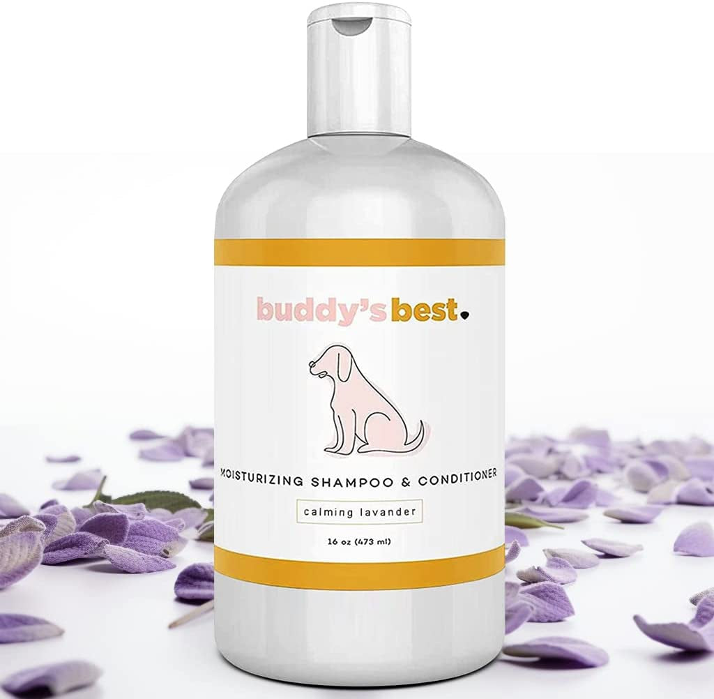 Premium Oatmeal Dog Shampoo and Conditioner for Sensitive Skin - Moisturizing Formula with Calming Lavender Scent, 16 oz