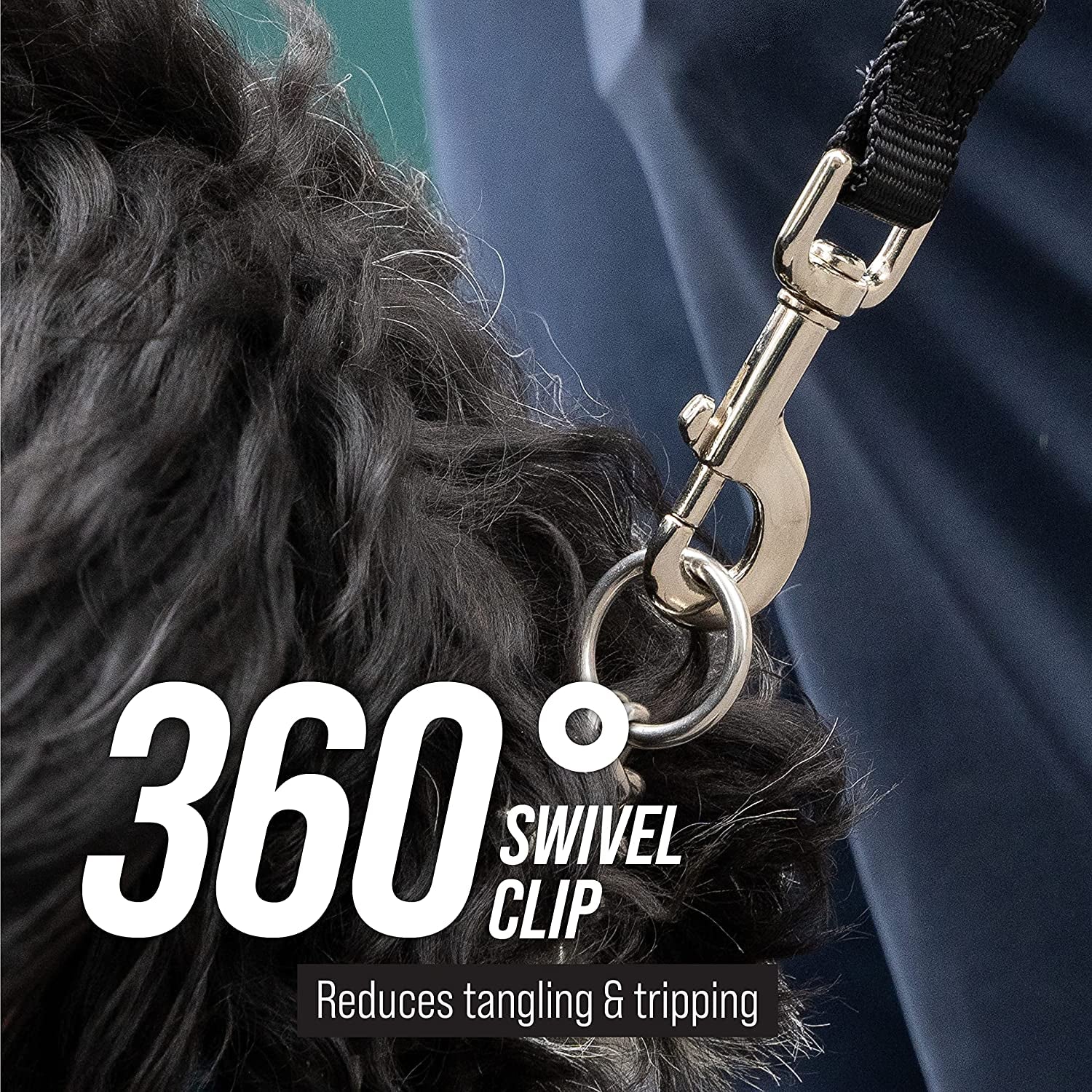 Free Range Long Dog Leash for Large Dogs with Drawstring Backpack - 1 Inch Nylon Training Lead with Padded Handle (Black, 30 Ft)