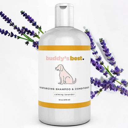 Premium Oatmeal Dog Shampoo and Conditioner for Sensitive Skin - Moisturizing Formula with Calming Lavender Scent, 16 oz