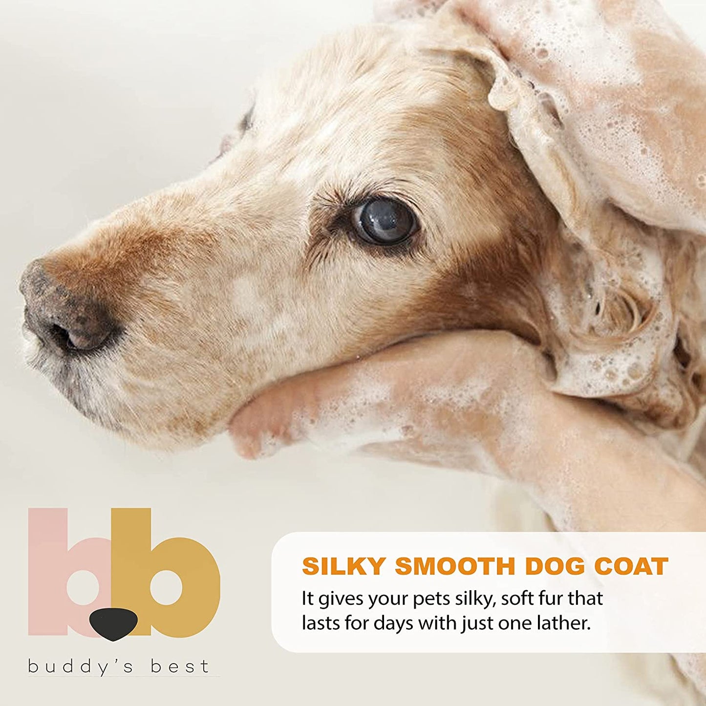 Premium Oatmeal Dog Shampoo and Conditioner for Sensitive Skin - Moisturizing Formula with Calming Lavender Scent, 16 oz