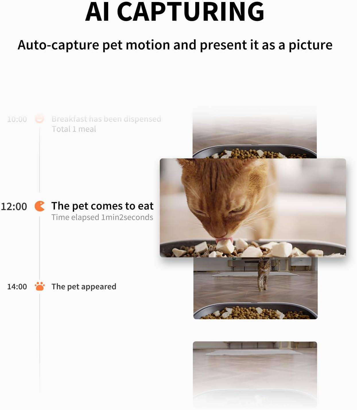 Smart Automatic Pet Feeder with Integrated Camera, AI Motion Detection, 1080P HD Night Vision, 2.4G WiFi Connectivity, Two-Way Audio, and Dual Hopper Design with Desiccant